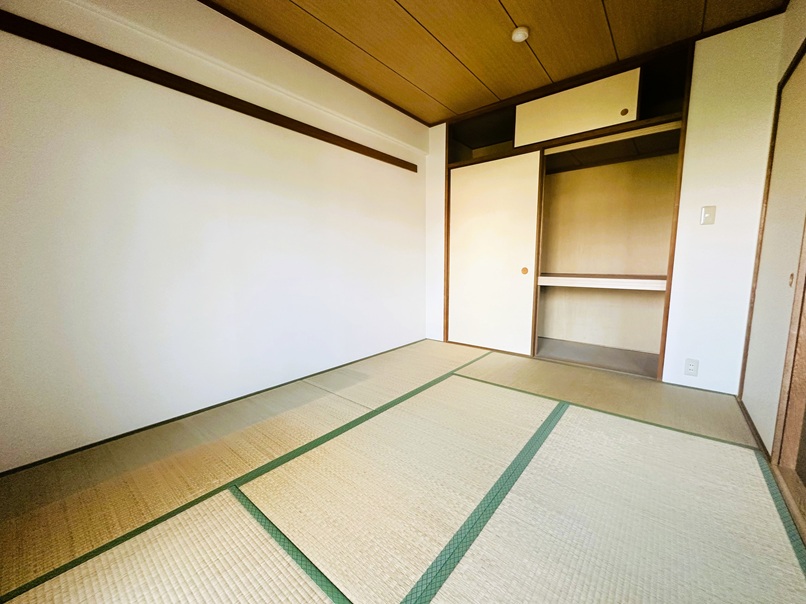 IMG_4242