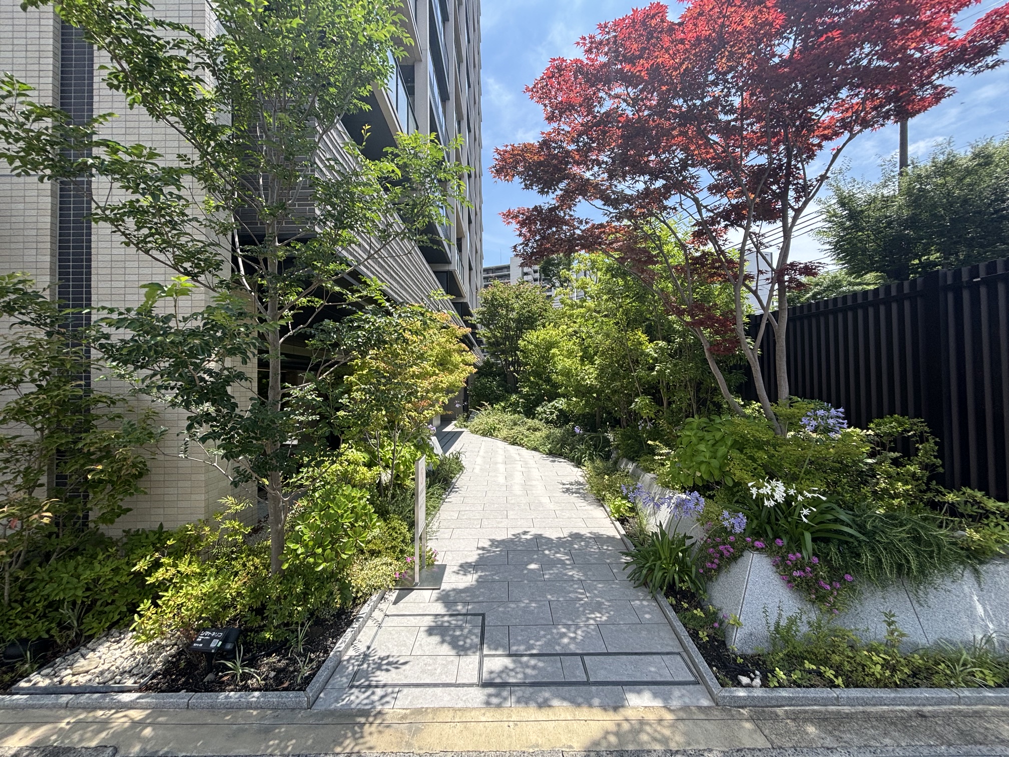アプローチ